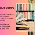 Professional Insights into the Best PL-500 Exam Dumps