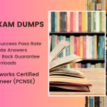 What Professionals Say About PCNSE Dumps